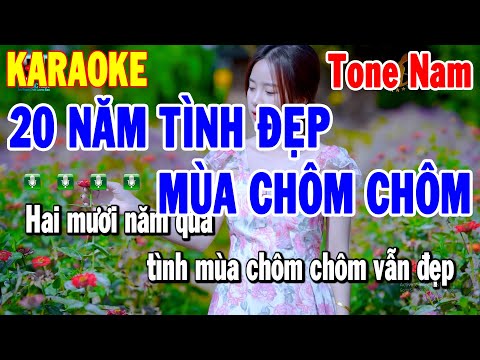 Karaoke 20 Năm Tình Đẹp Mùa Chôm Chôm Tone Nam | Karaoke Thanh Hải