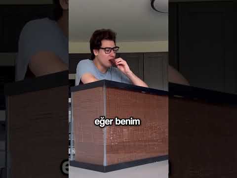 MR BEASTIN FEASTABLES ÇİKOLATASINI YEDİ