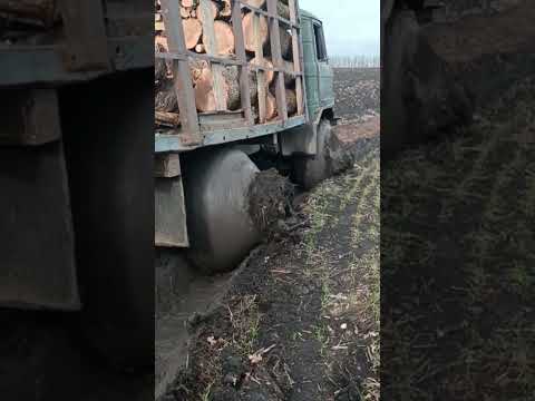 НЕОЖИДАННЫЙ ЭФФЕКТ 🤯