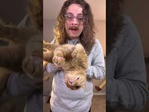 I finally took Nanaki to the vet for his behavior issues @Chewy Vet Care #ChewyPartner