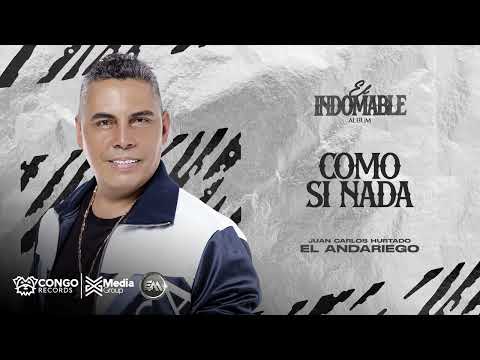 Como Si Nada - El Andariego (Audio Oficial)