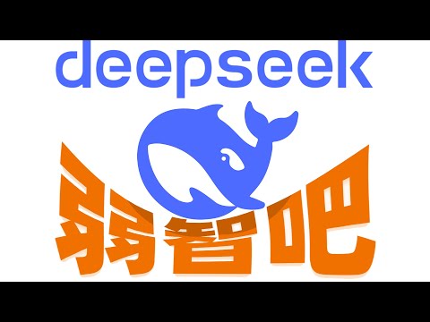 DeepSeek干翻弱智吧！feat.bilibili新国辩