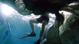 Navigating the canopy with Wet Silk Training