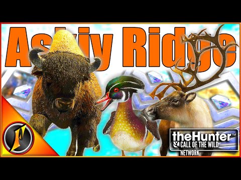 INSANE TROPHIES on Askiy Ridge! [Early Access] | theHunter Call of the Wild