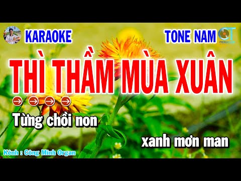 Karaoke Thì Thầm Mùa Xuân Tone Nam Nhạc Sống 2025