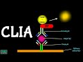 Chemiluminescence Enzyme Immunoassay Concepts
