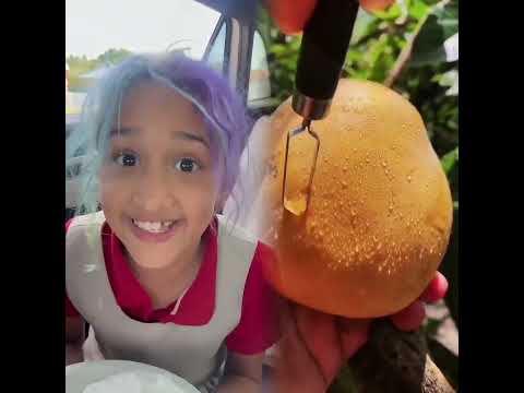I can’t believe Londyn did THIS!! #dlafam #londyn #supernanny #shorts