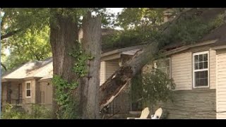 'IT WAS LIKE BOOM' - Memphis family dealing with storm damage after tree falls on home