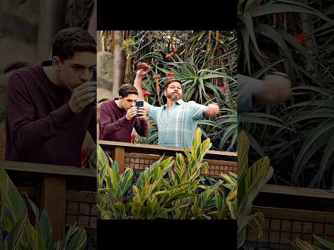 He threw something at a tiger, It didn’t end well