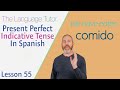 Past Participles and Present Perfect Tense
