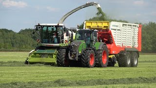Gras hakselen en inkuilen bij Eshuis met een Claas Jaguar 940 en Fendt trekkers (2025)