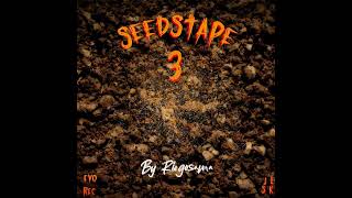 BonsoirJeecy - Seedstape 3 (Ep)