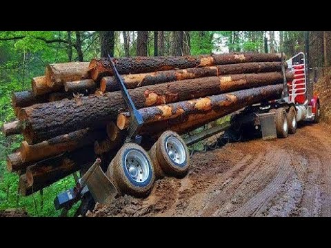 Dangerous Fastest Logging Operator Truck Crazy Skill | Heavy Equipment Truck Operator Driving Fails.