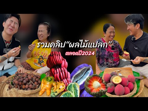 รวมคลิปที่แม็กซ์กับแม่กินผลไม้แปลกตลอดทั้งปี2024ผลไม้แปลกแม็