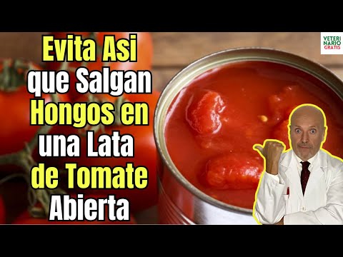 💝 EL SENCILLO TRUCO DE MICROBIOLOGO PARA EVITAR QUE SALGA MOHO A TU LATA DE TOMATE💝