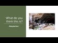Adaptation and Modification in Cultures