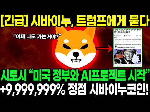 [긴급] 시바이누, 트럼프에게 묻다! “미국 정부와 AI 프로젝트 시작” +9,999,999% 정점 시바이누코인! 폭등!