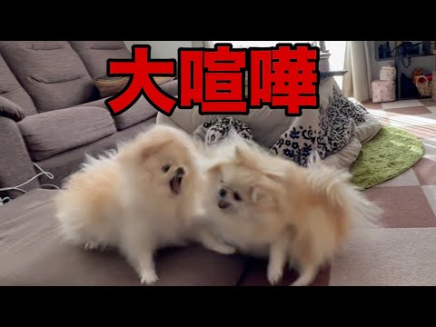 かつてない程の大喧嘩に発展してしまいました