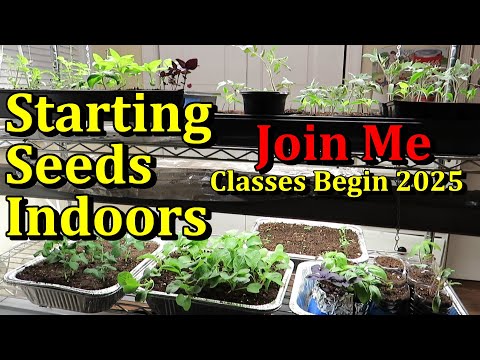 Seed Starting Herbs, Flowers, & Vegetables Indoors (A Complete Beginners 2025 Class)