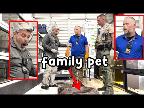 Florida FWC Cops “Accidentally” Use Nail Gun On Pregnant Mother Pet Snake!