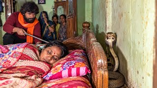 घर में सो रही महिला के कमरे में जब ऐसा हैरतअंगेज़ कारनामा देखने को मिला !😱 Cobra Snake Rescue