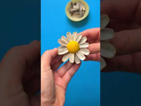 From snack to Piece of Art 🤯🌼 DIY Flowers from Sunflower seeds 🌻