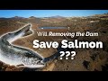Klamath River Dam Removal Impact