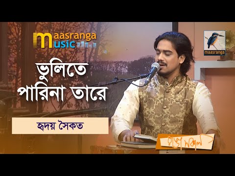 Vulite Parina | ভুলিতে পারিনা | Hridoy Saikat | Maasranga Music