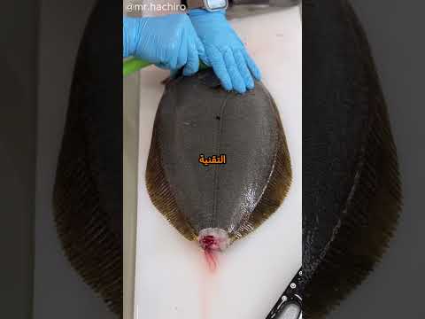 فن تنظيف الأسماك اليابانية لإتقان الطهي😍 #طعام #يابان
