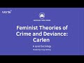 Women's Criminality and Social Theories