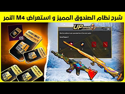 شرح نظام الصندوق المميز القادم 🔥 استعراض وشرح ميزة الامفور النمر الجديدة و عودة السكنات القديمة 😍