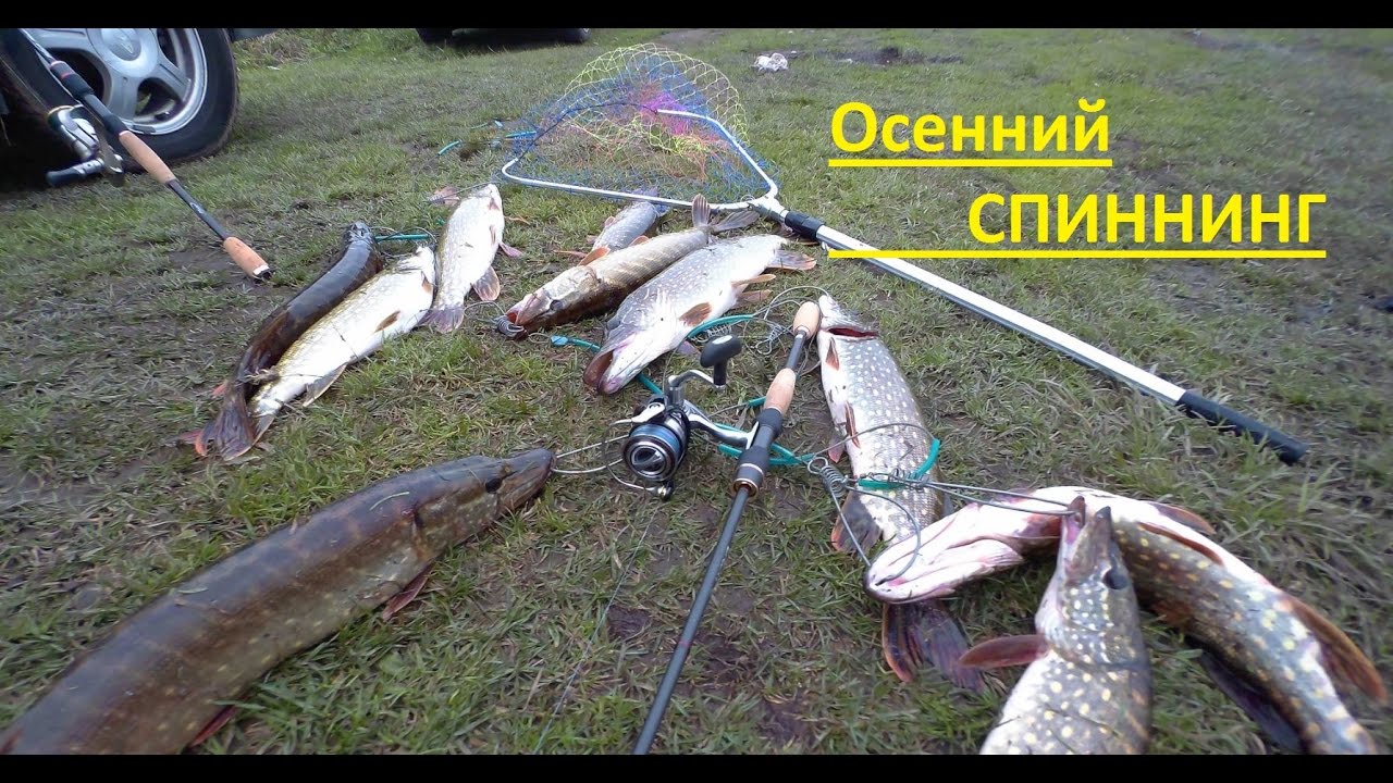 Отличная рыбалка на щуку в октябре 2016