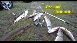 видео
