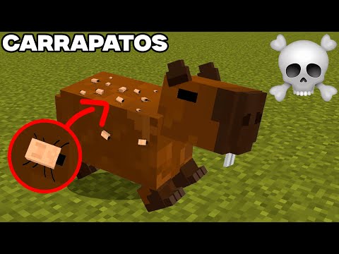 O Problema de ser uma CAPIVARA