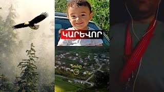 Դուք հո չե՞ք գժվել։ Ի՞նչ արծիվ, ի՞նչ մութ ուժեր։ Եկեք հասկանանք