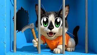 Челлендж ПОБЕГ ИЗ ТЮРЬМЫ! ВЫЖИВАНИЕ 24 ЧАСА для Котов