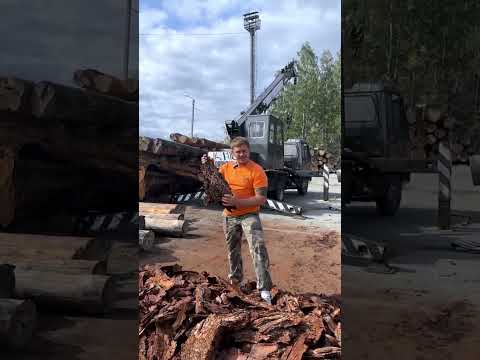 ЗАБЕРИТЕ КОРУ!