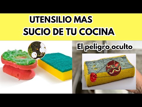 El peligro oculto que hay en las ESPONJA de cocina