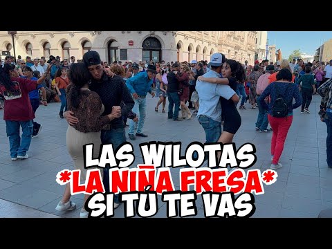Las Wilotas*La niña fresa*Si tú te vas