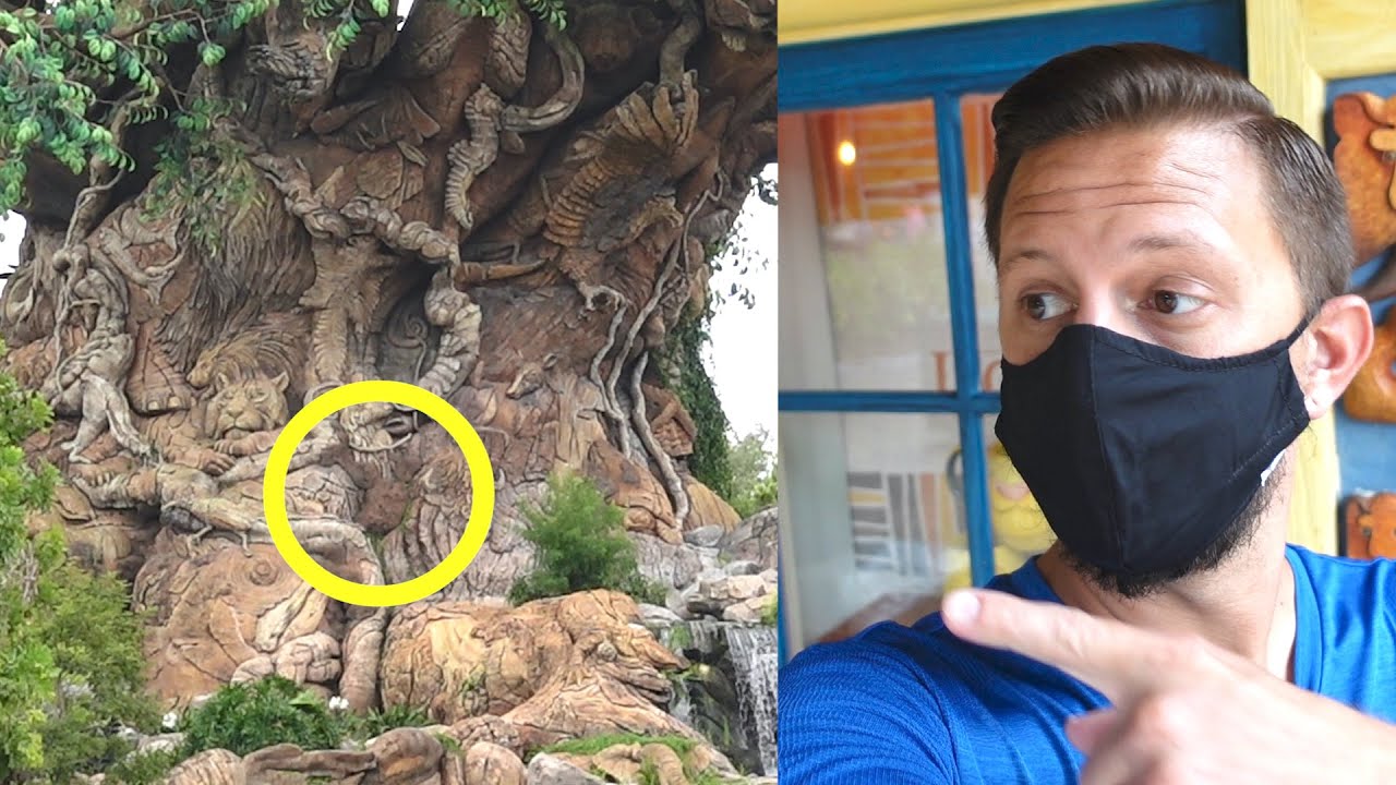 Things I've Never Noticed At Disney's Animal Kingdom Part 2! Maharaja Jungle Trek & Hidden Mickeys The Tim Tracker