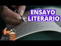 Understanding Literary Essays