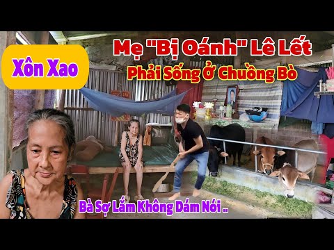 Chấn động phát hiện người Mẹ hiền từ "Bị Oánh" tả tơi bắt phải sống trong Chuồng Bò khiến ai cũng sợ