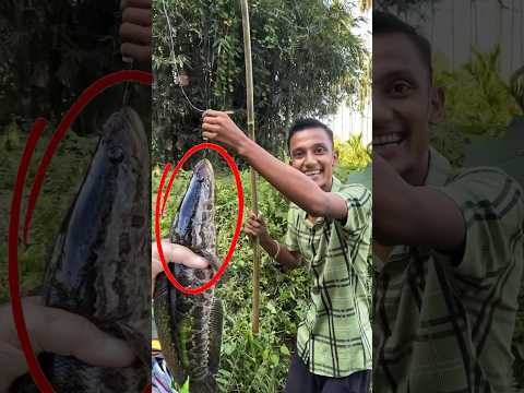 Village Fishing Mini Vlog 😍 - #shorts #minivlog #freefireshorts