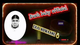 EKAI NDWAANE 💍 OFFICIAL AUDIO - BUSH BABY OFFICIAL 