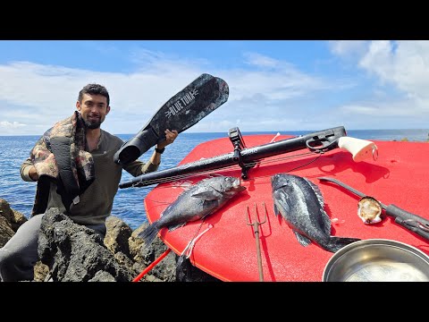 Freedive Spearfishing Catch and Cook with my Gas Gun