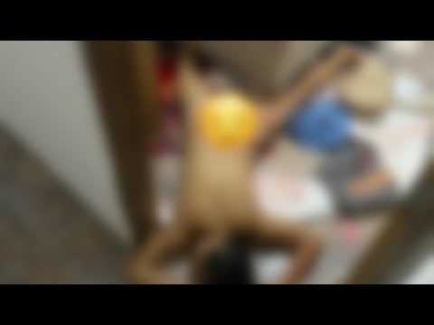 ASSASSIN0 DAR DETALHES DE COMO MAT0U MULHER NO MARANHÃO.