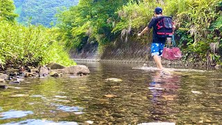 レバーを餌にして罠を密林の川に仕掛けたら...