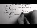 Antibodies and Immune System Functions