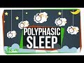Understanding Sleep Patterns