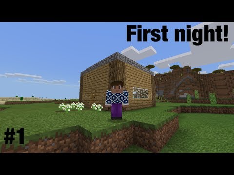 Minecraft | First Night! #1